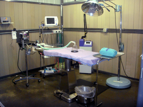Our Surgical suite