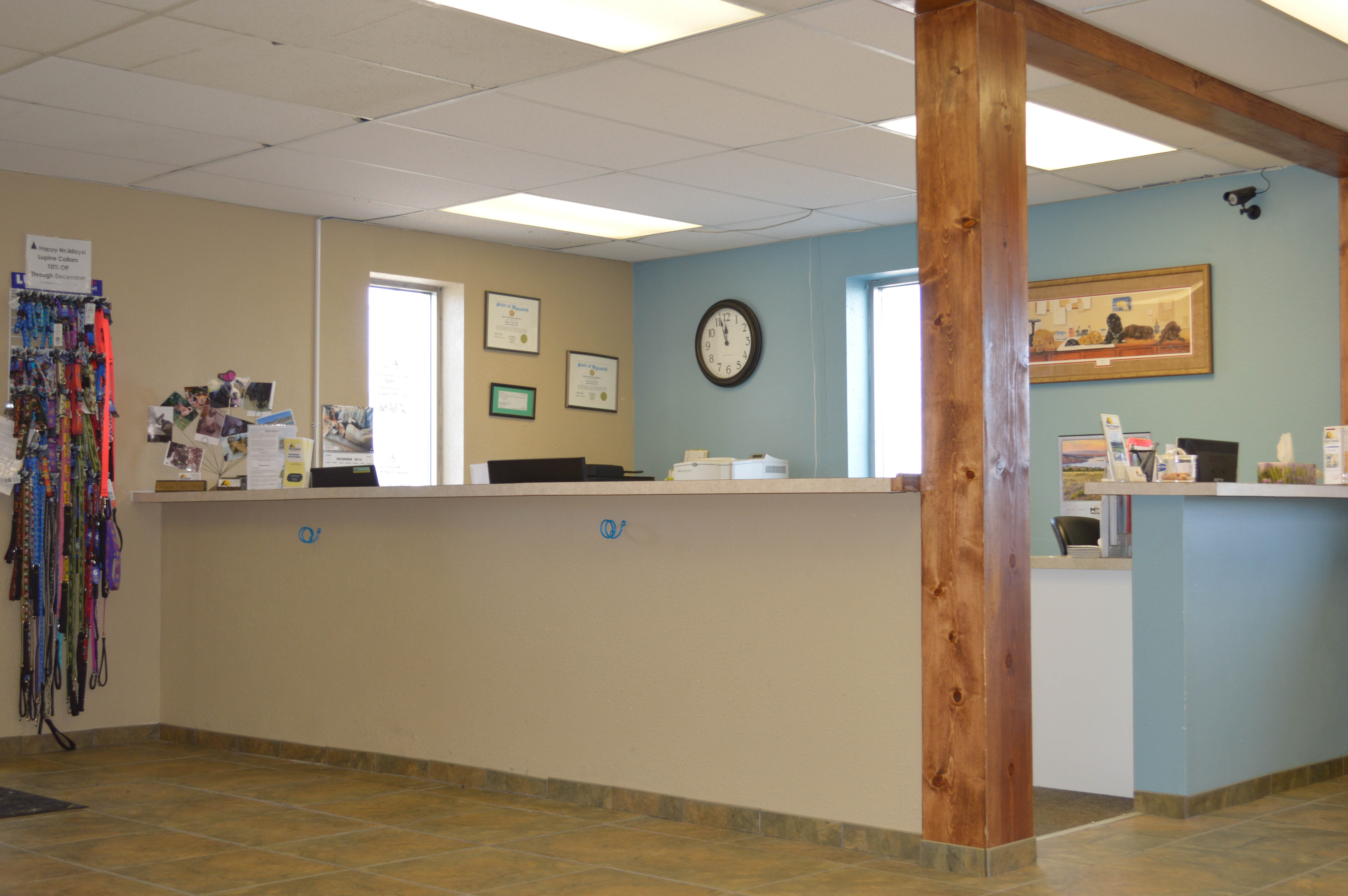 Our Reception Desk