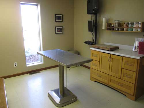 A Small Pet Exam Room