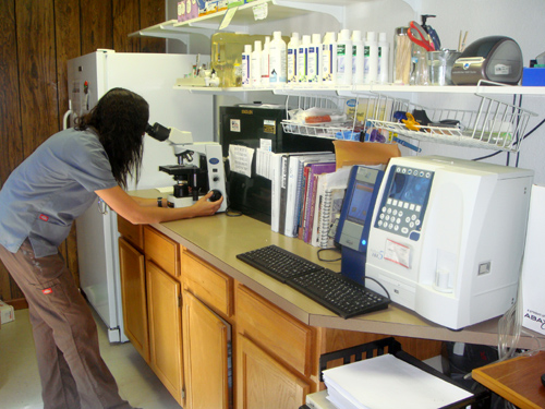 Our Pharmacy and Laboratory