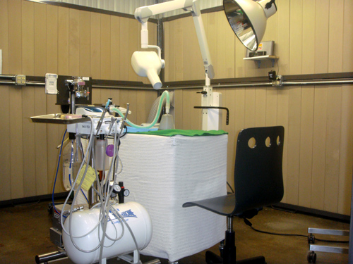 The Dental Suite